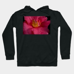 Clematis Stamens Hoodie